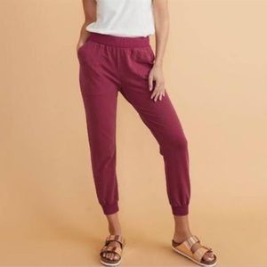 Marine Layer Sammi joggers in cabernet - extra small NWT